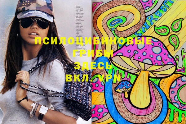 твердый Богданович