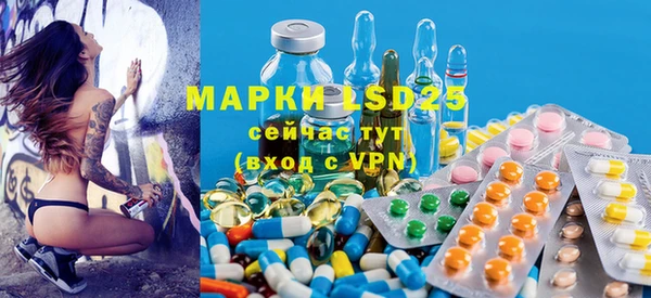 ECSTASY Богородицк
