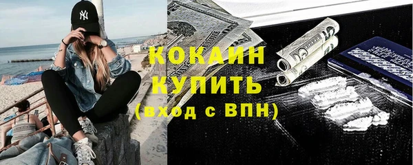 твердый Богданович