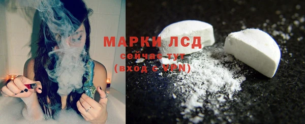 твердый Богданович