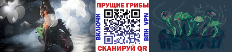 кракен зеркало Волжск маркетплейс какой сайт Галлюциногенные грибы ЛСД