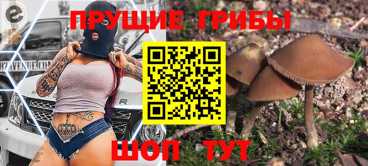 Волжск  Псилоцибиновые грибы мицелий  Вход с VPN 
