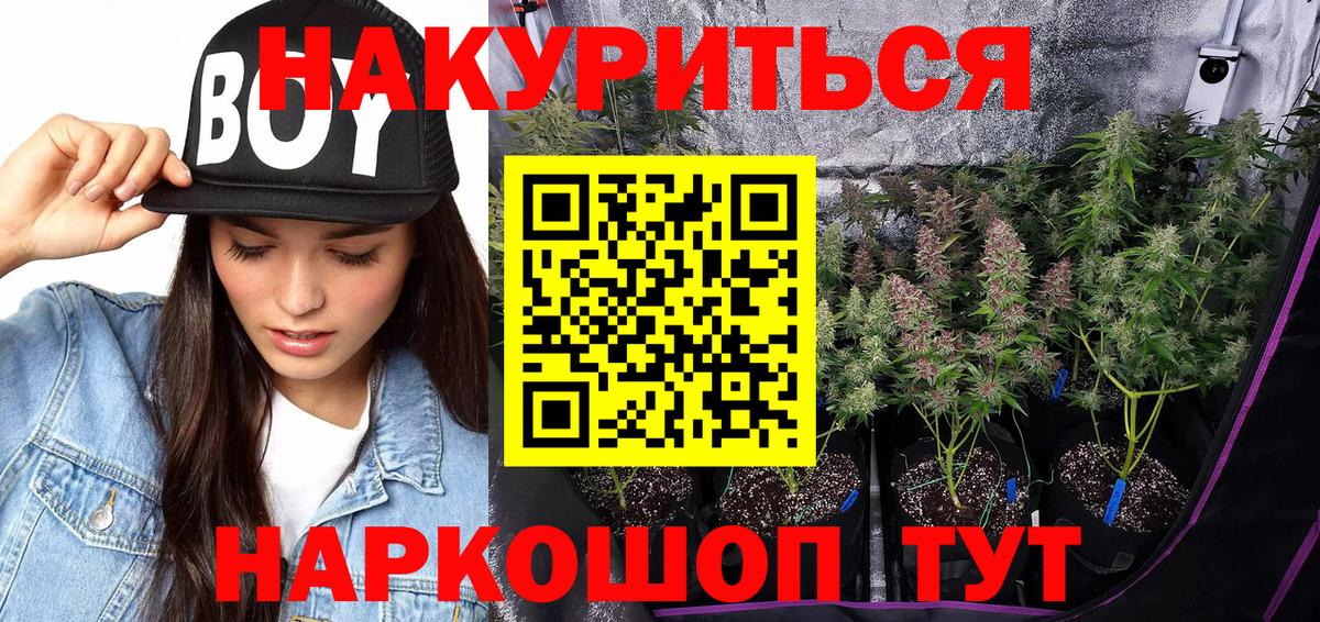 Конопля планчик  Бошки марихуана тримм  Вход с VPN  Волжск 